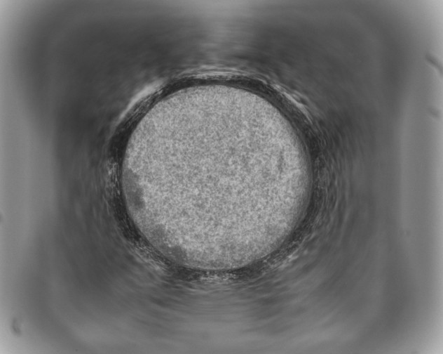 X0000095891351200802081108