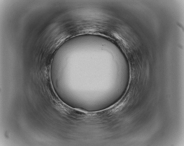 X0000095891353200802081108