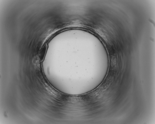 X0000095891356200802081108