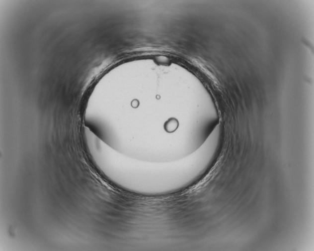X0000095891357200802081108