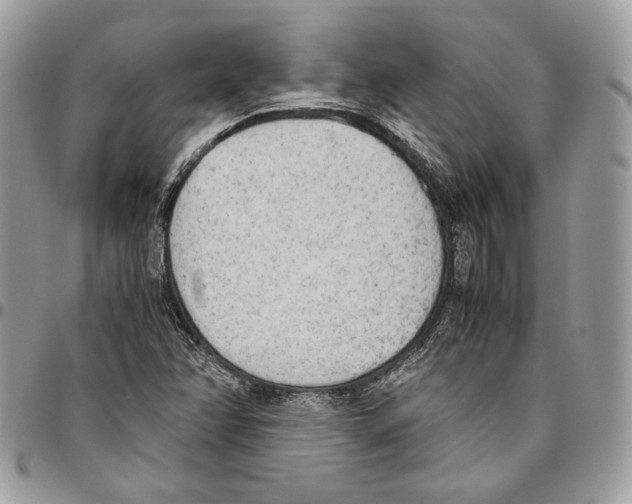 X0000095891358200802081108