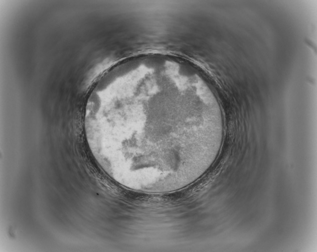 X0000095891359200802081108