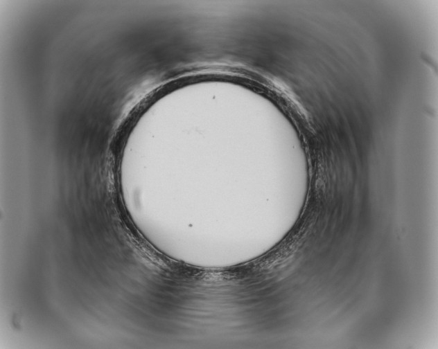 X0000095891360200802081108