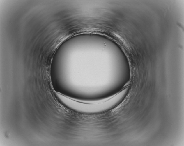 X0000095891361200802081108