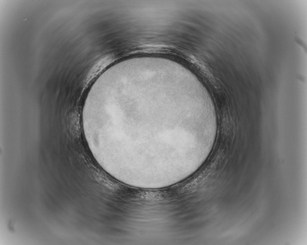 X0000095891362200802081108