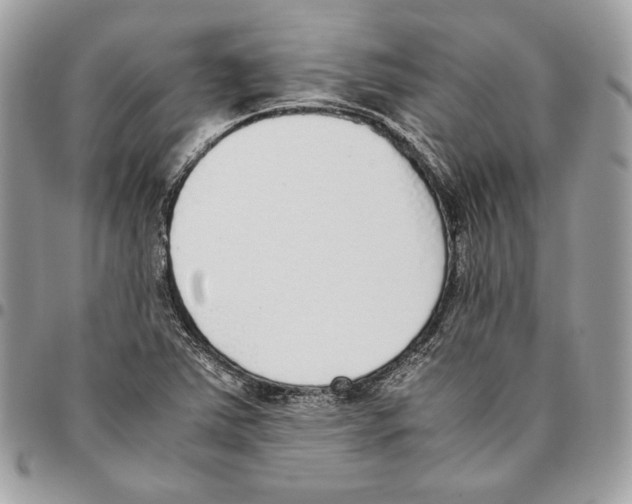 X0000095891363200802081108