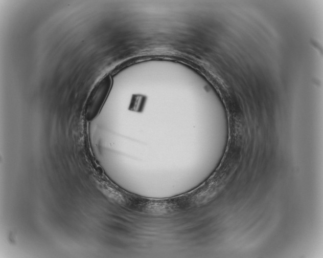 X0000095891364200802081108