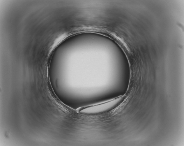 X0000095891365200802081108
