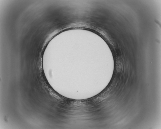 X0000095891366200802081108