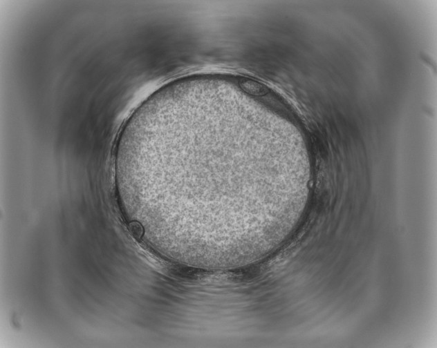 X0000095891367200802081108