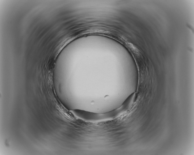 X0000095891369200802081108