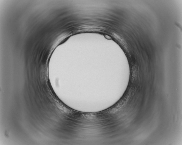X0000095891370200802081108