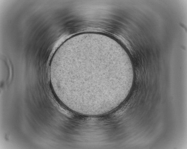 X0000095891371200802081108