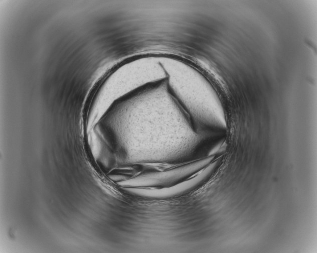 X0000095891372200802081108