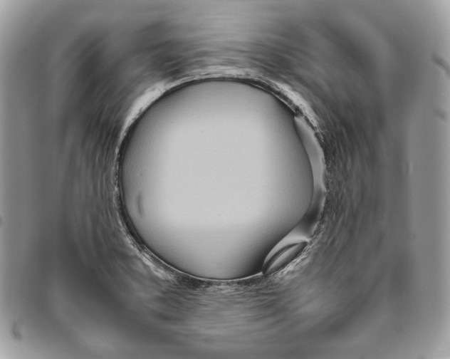 X0000095891373200802081108