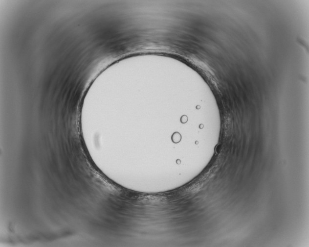 X0000095891374200802081108
