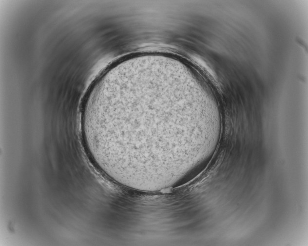 X0000095891376200802081107