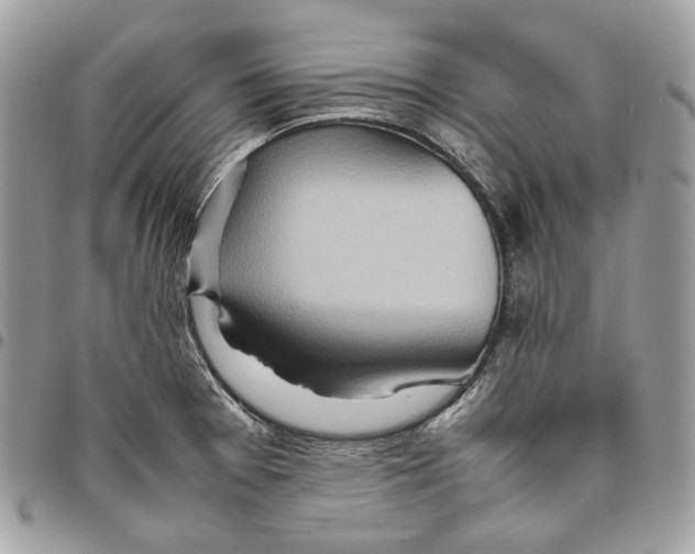 X0000095891377200802081107