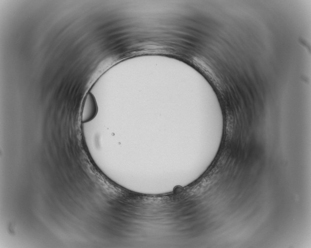 X0000095891378200802081107