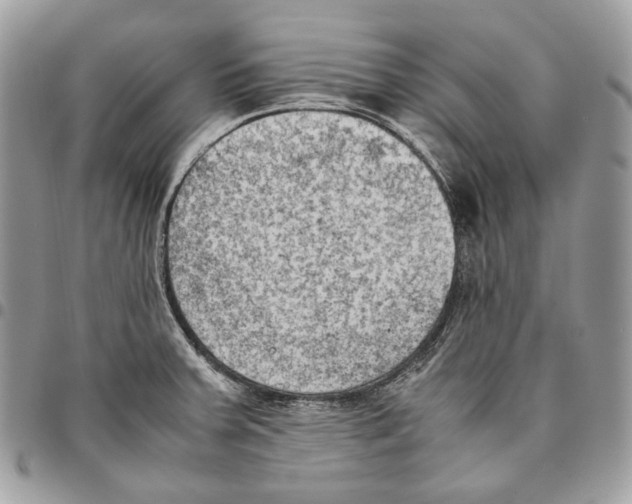 X0000095891379200802081107