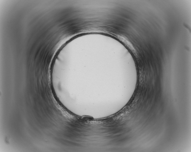 X0000095891380200802081107
