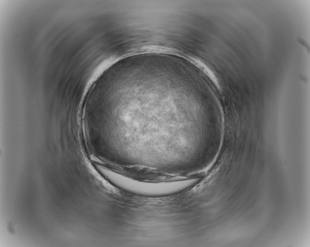 X0000095891381200802081107