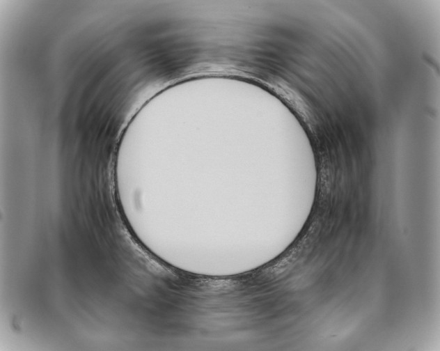 X0000095891382200802081107