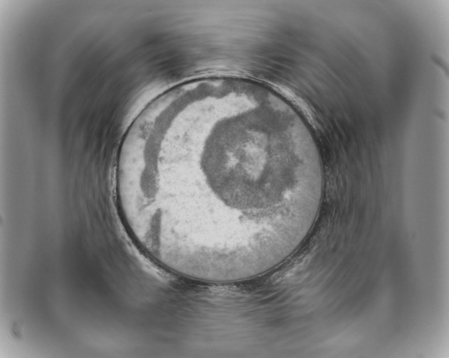 X0000095891383200802081107