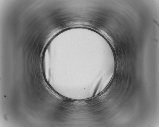 X0000095891384200802081107