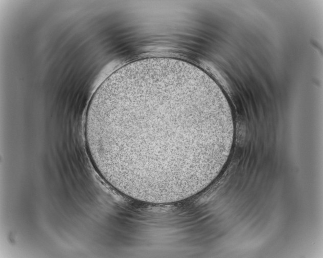 X0000095891386200802081107