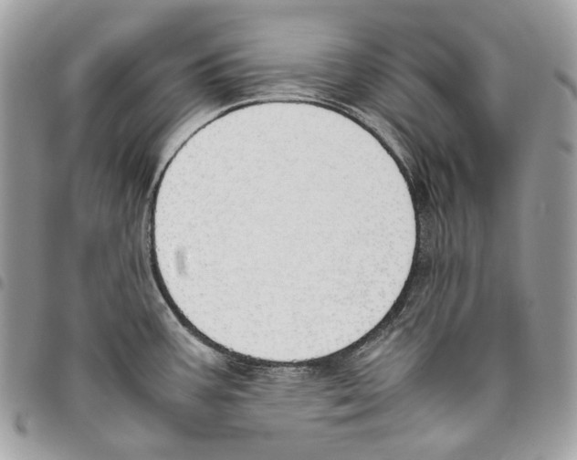 X0000095891387200802081107