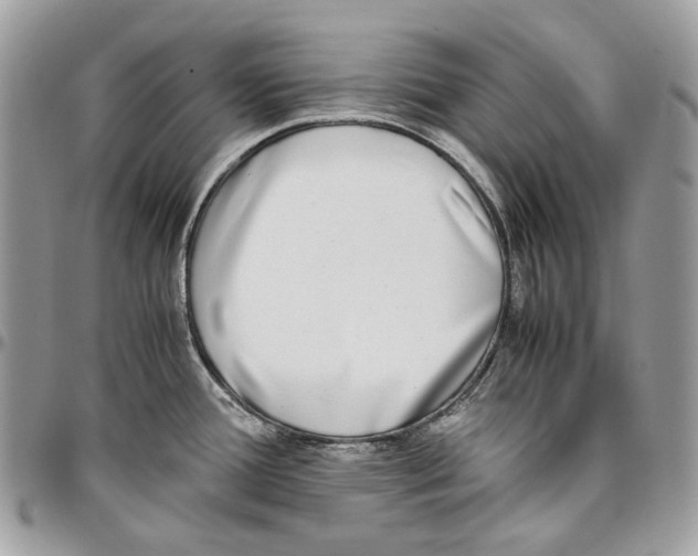 X0000095891388200802081107