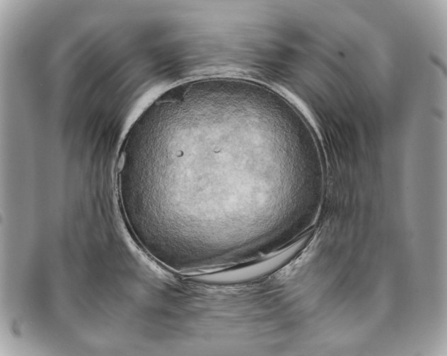 X0000095891389200802081107