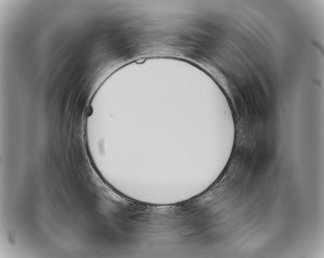 X0000095891390200802081107