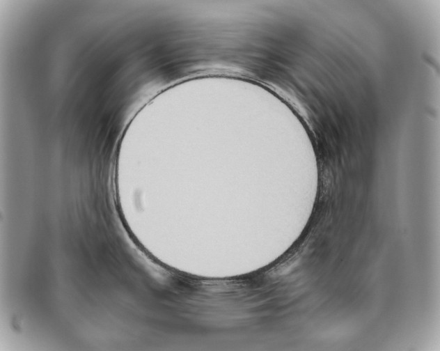 X0000095891391200802081107