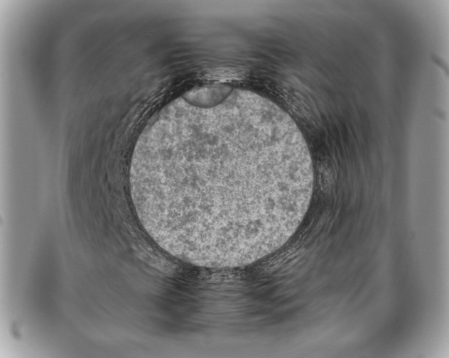 X0000095891393200802081107