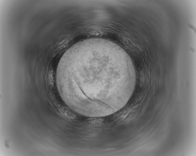 X0000095891394200802081107