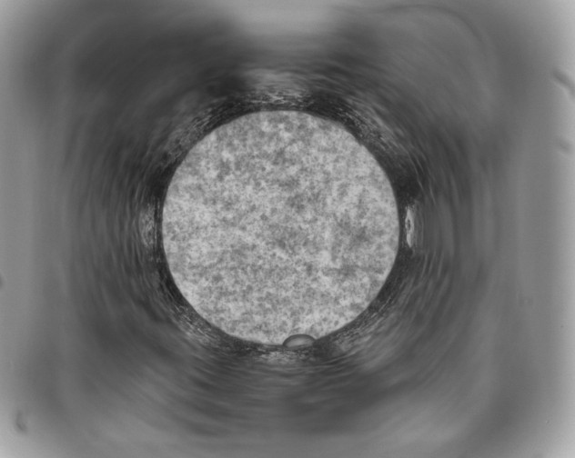 X0000095891395200802081107