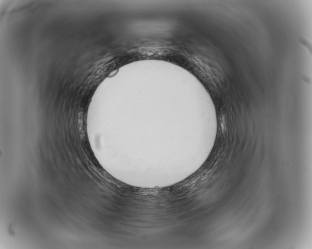 X0000095891396200802081107