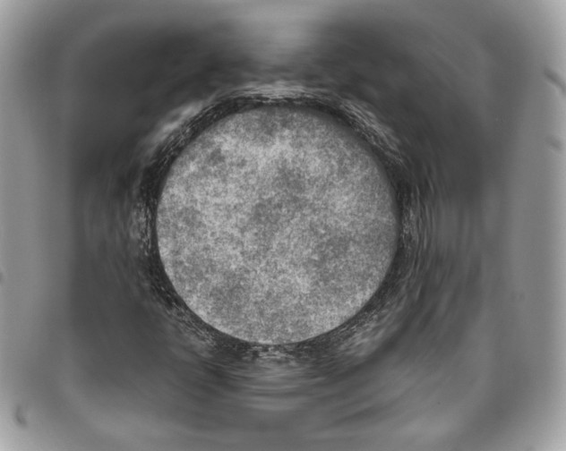 X0000095891398200802081107