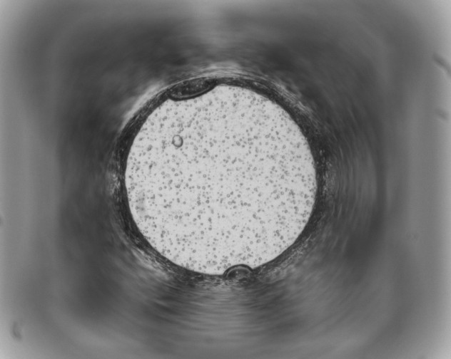 X0000095891400200802081107
