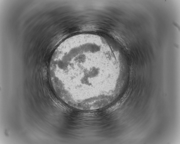X0000095891401200802081107