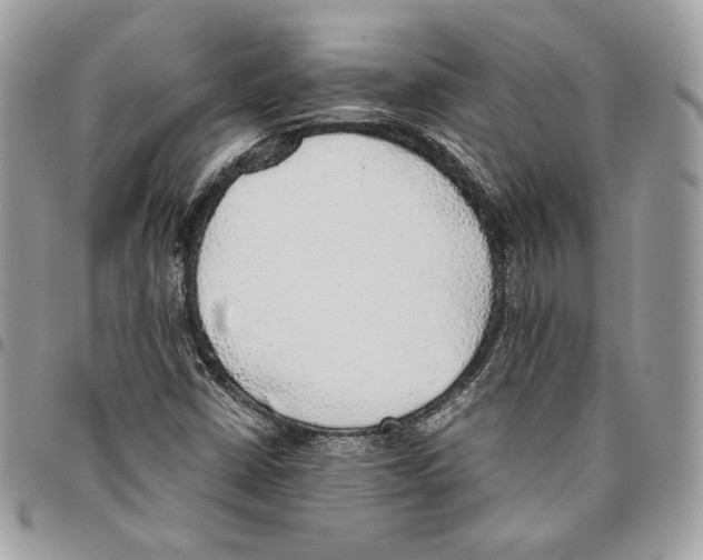 X0000095891402200802081107
