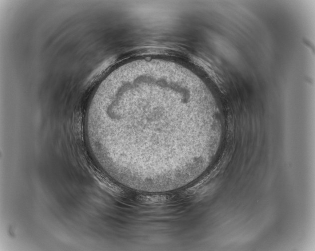 X0000095891403200802081107