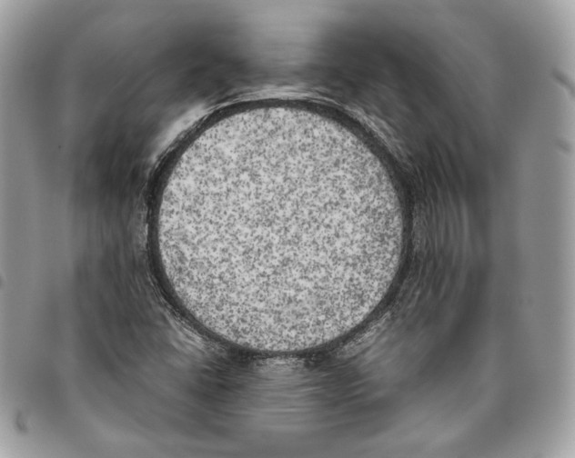 X0000095891406200802081107