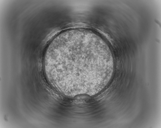 X0000095891407200802081107