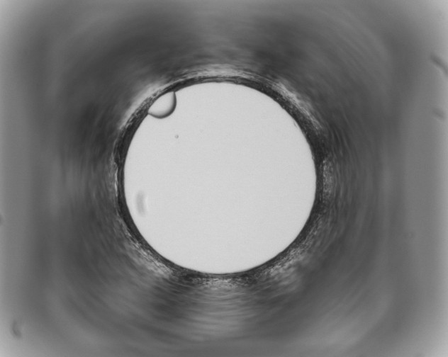 X0000095891408200802081107