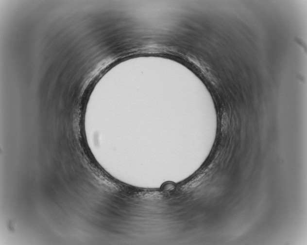 X0000095891410200802081107