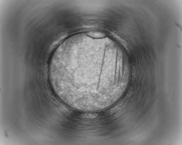 X0000095891411200802081107