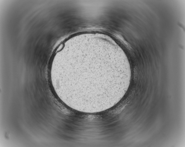 X0000095891412200802081107